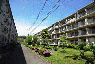 外観：314002077250