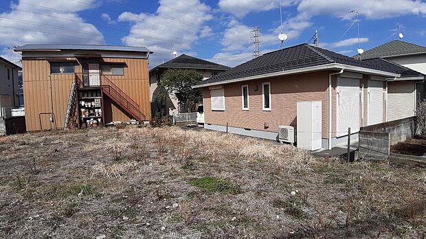 ２０２５年３月撮影