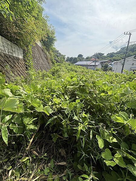 現地（2025年7月撮影）