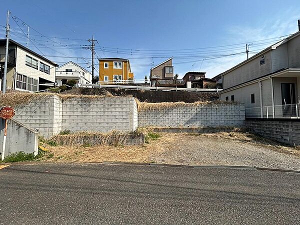 外観：313004154785