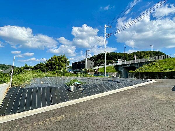 外観：313004188327