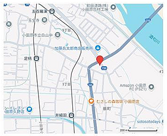 ※現地案内図