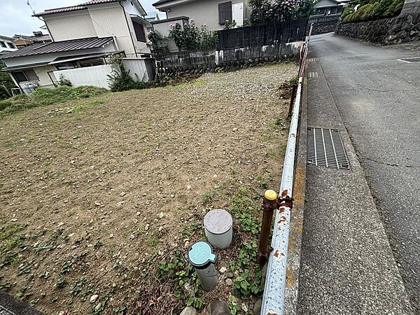 2025年6月撮影
