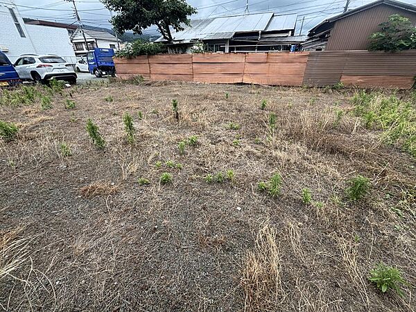2025年6月撮影