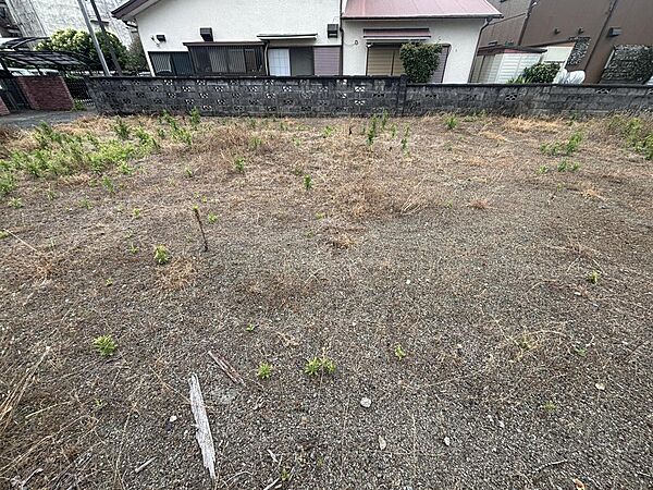 2025年6月撮影