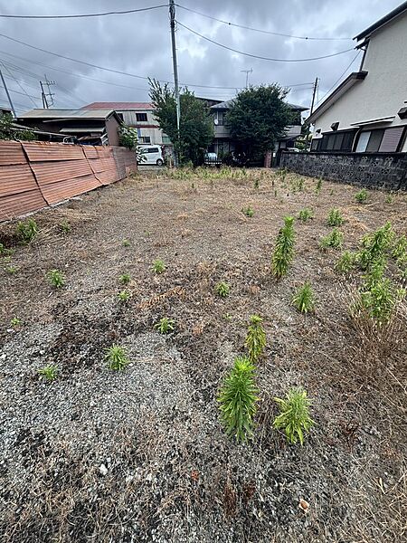 2025年6月撮影