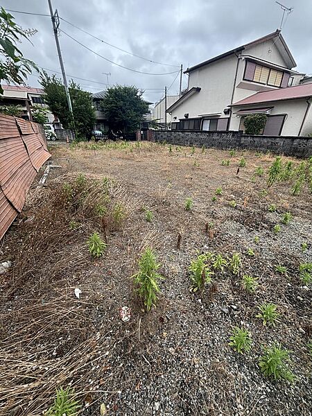 2025年6月撮影
