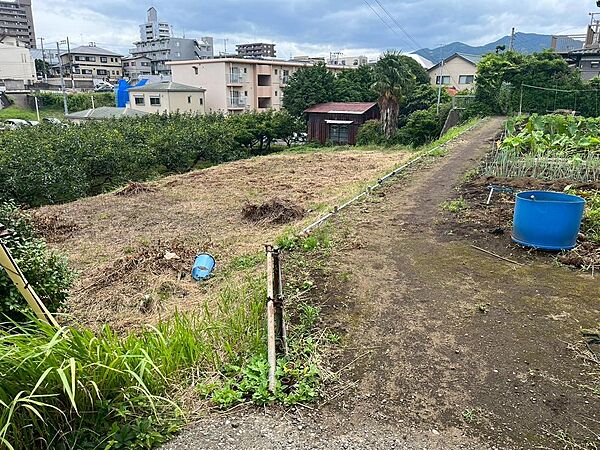 現地（2025年6月撮影）