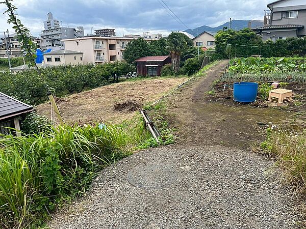 現地（2025年6月撮影）