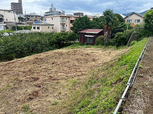 現地（2025年6月撮影）