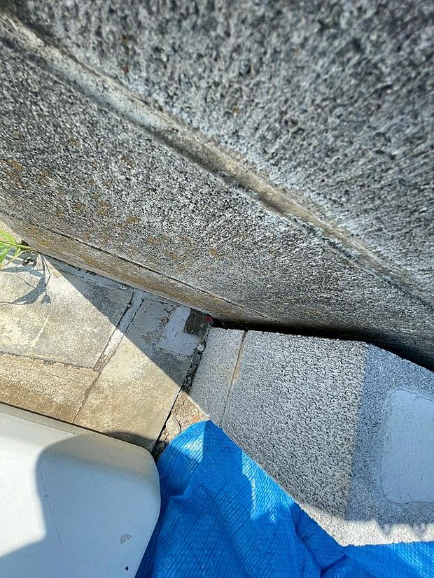 2025年8月撮影写真