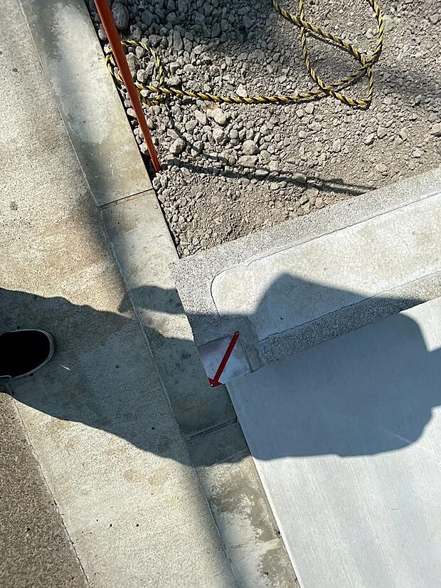 2025年8月撮影写真