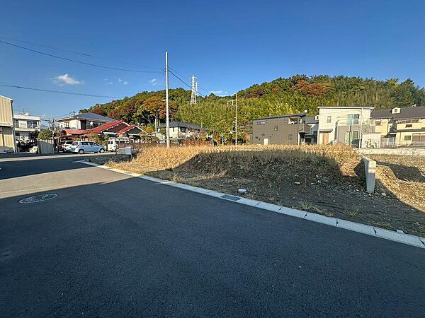 現地（2025年11月）