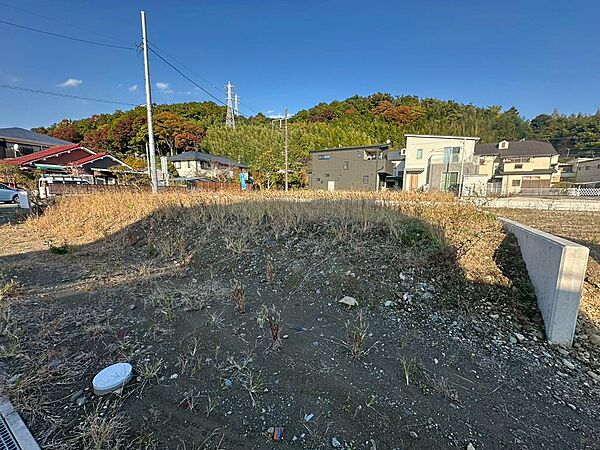 現地（2025年11月）