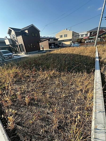 現地（2025年11月）