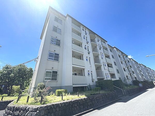 外観：327002222574