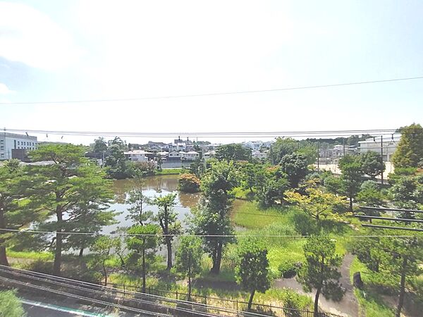 バルコニーから以楽公園が一望！