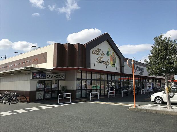 遠鉄ストア 富塚店（571m）