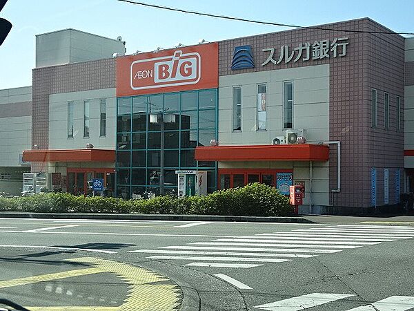 画像29:【スーパー】ザ・ビッグ金谷店まで7320ｍ