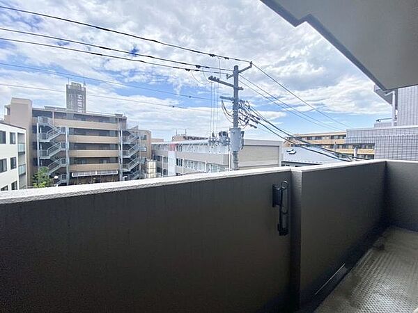 南東向きのバルコニー。洗濯物干しにも使いやすく、明るい住空間につながります♪