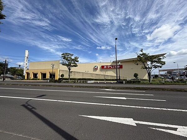 ヨークベニマル新田東店 101m