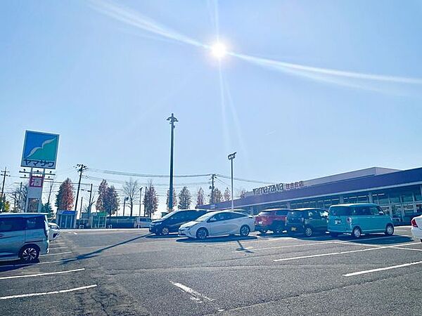 ヤマザワ 住吉台店 496m