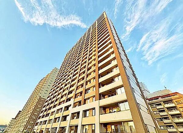 外観：313004629310