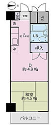 錦糸町ハイタウン 1DKの間取図画像