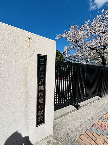 江東区立越中島小学校まで徒歩2分（170ｍ）