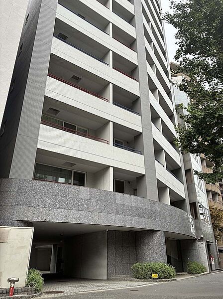 外観：313004895110