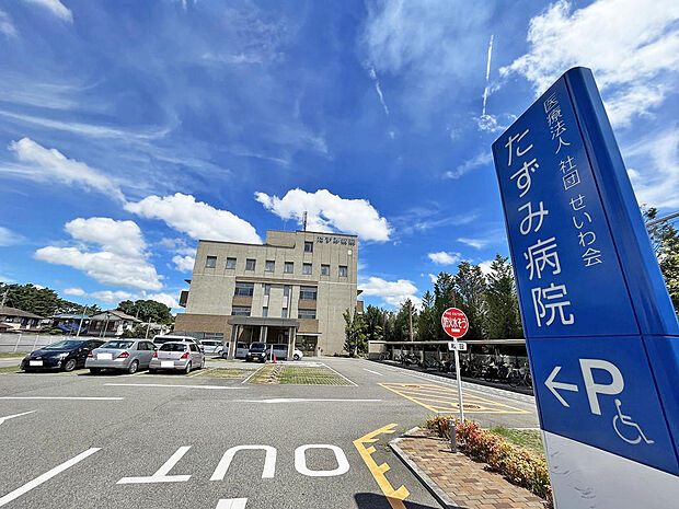 医療法人社団せいわ会たずみ病院まで約600m 消化器外科手術が年間200例超・内視鏡は年間2000例超をこなしている。 地域に根差した医療を目指しています。一般病棟49床、療養病床47床の合計96床。