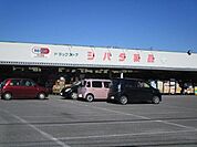 シバタ薬品 598m