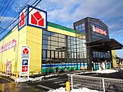ヤマダデンキテックランド真岡店 1100m