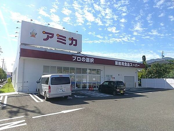 アミカ　飯田店 700m