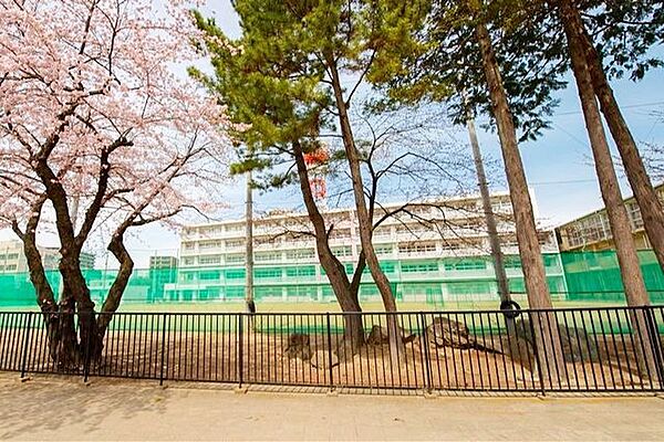 仙台市立宮城野中学校 徒歩17分。 1200m