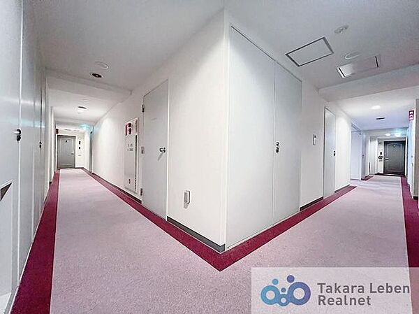 共用部の廊下は、ホテルのような高級感を演出しながら、外気や視線をシャットアウトできる室内廊下。