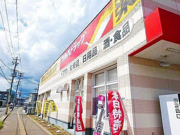 ツルハドラッグ仙台二の森店 徒歩7分。 500m