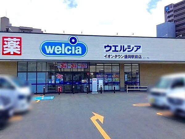 ウエルシアイオンタウン盛岡駅前店 徒歩4分。 250m
