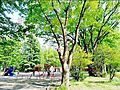 五橋公園 徒歩...