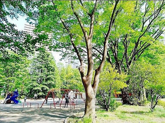 五橋公園 徒歩...
