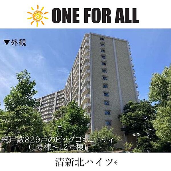 外観：313004887314