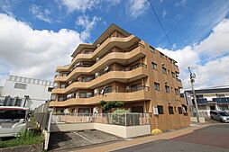 オオタピア植田