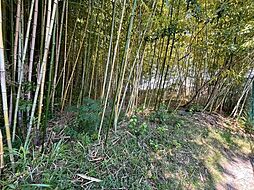 愛知県日進市米野木町奥畑
