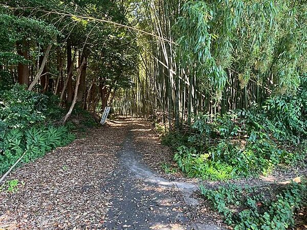 ＊前面道路＊