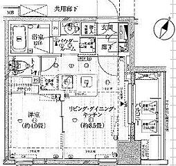 レルシール大島 1DKの間取図画像