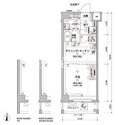 アルコバレーノ亀戸2(ARCOBALENO KAMEIDOII) 1DKの間取図画像