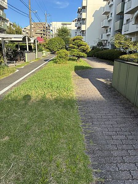 庭