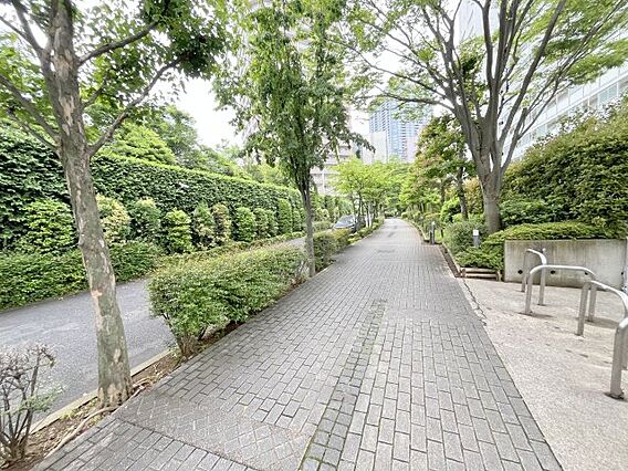 敷地内歩道