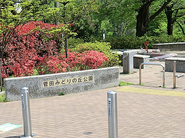 菅田みどりの丘公園 550m