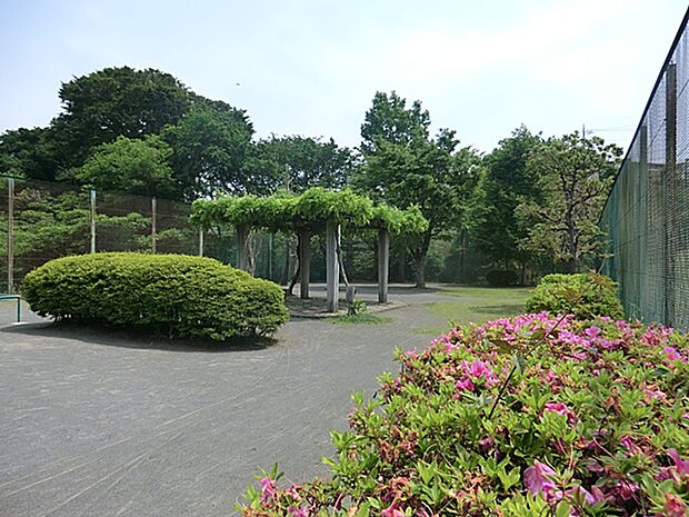 向台公園 240m